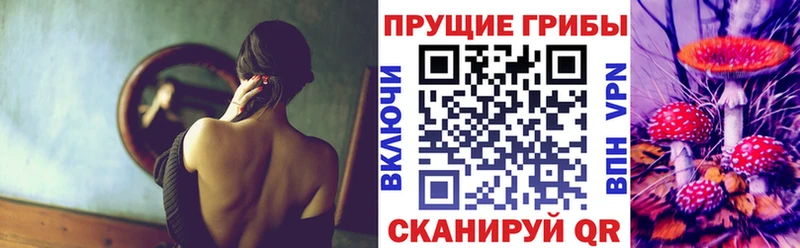 hydra рабочий сайт  Ершов  Галлюциногенные грибы прущие грибы 